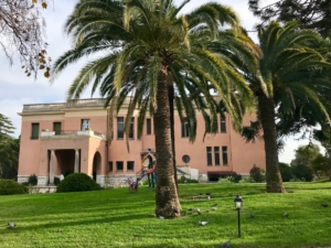 Museum of Naive Art in Nice, France