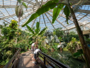 Parc Phoenix in Nice, French Riviera