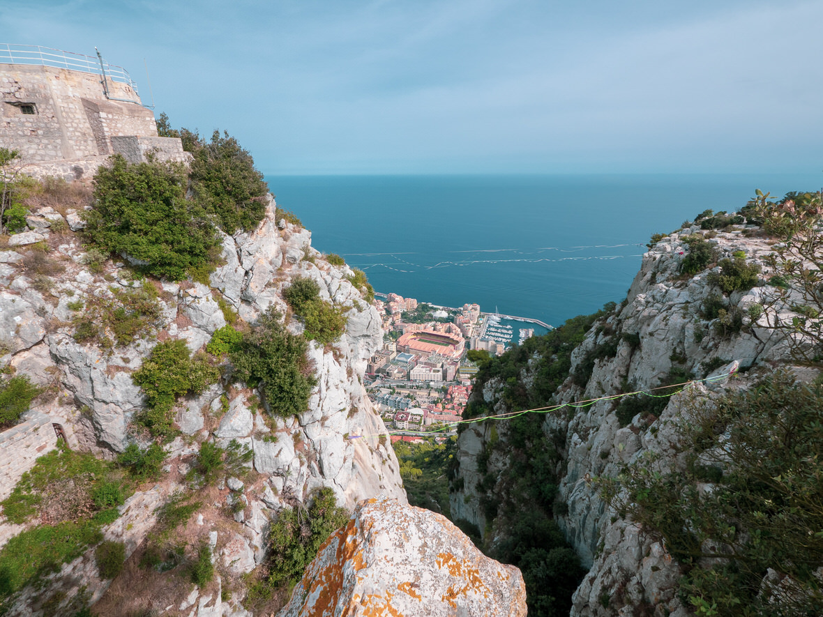 T te De Chien Dog s Head Above Monaco