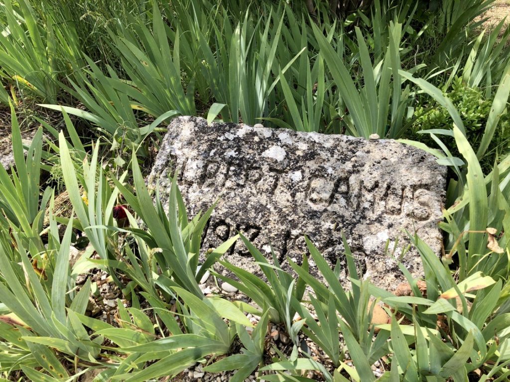 Tombstone of Albert Camus