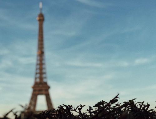 Planning a Trip to Paris: French Phrases You’ll Actually Need (Beyond Bonjour and Merci)