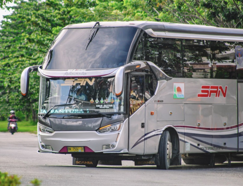 5 Best Ways to Transport 20+ People Across France in 2026