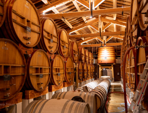 French regional wine journeys: Comparing Alsace Rieslings with Provençal roses